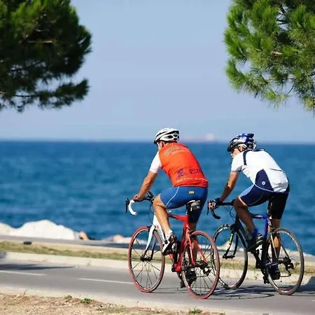 Mezenin Solis * Koper