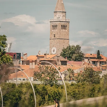 Mezenin Solis Koper