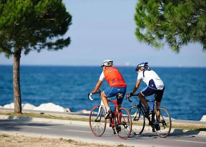 Mezenin Solis * Koper