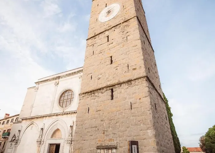 Mezenin Solis コペル