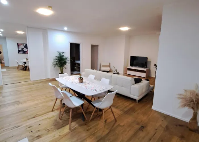 Mezenin Solis * Koper